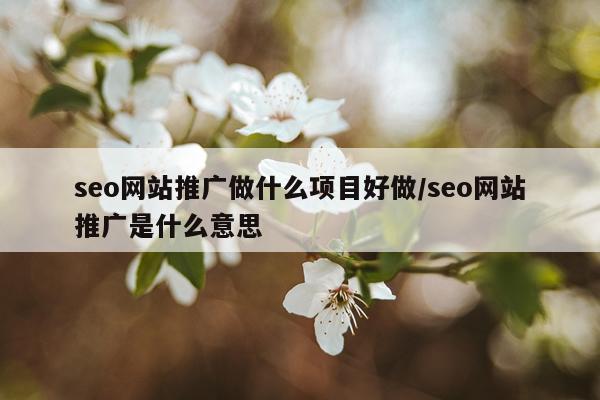 seo网站推广做什么项目好做/seo网站推广是什么意思