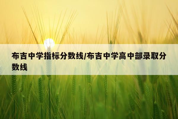 布吉中学指标分数线/布吉中学高中部录取分数线