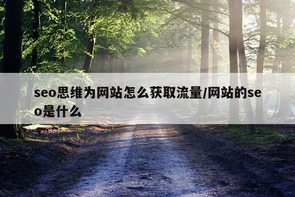 seo思维为网站怎么获取流量/网站的seo是什么