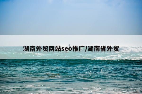湖南外贸网站seo推广/湖南省外贸