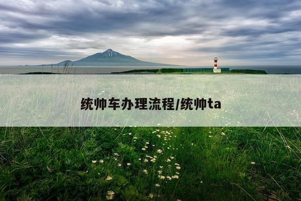 统帅车办理流程/统帅ta