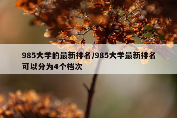985大学的最新排名/985大学最新排名可以分为4个档次