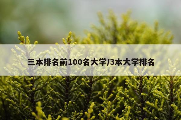 三本排名前100名大学/3本大学排名