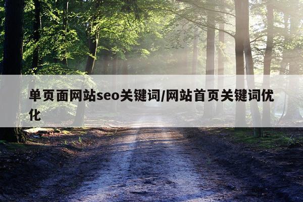 单页面网站seo关键词/网站首页关键词优化