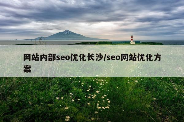 网站内部seo优化长沙/seo网站优化方案