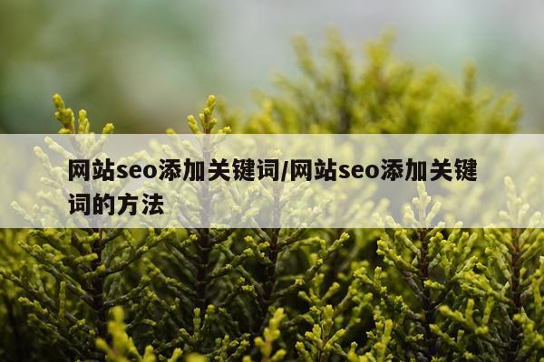 网站seo添加关键词/网站seo添加关键词的方法