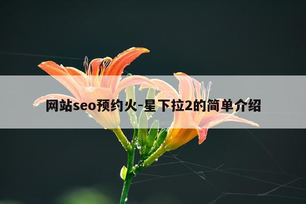 网站seo预约火-星下拉2的简单介绍
