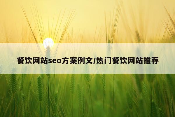餐饮网站seo方案例文/热门餐饮网站推荐