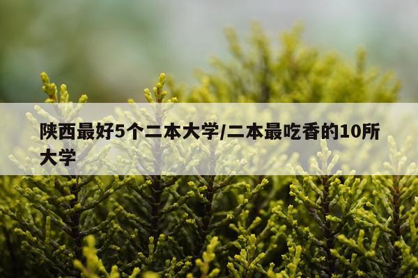 陕西最好5个二本大学/二本最吃香的10所大学