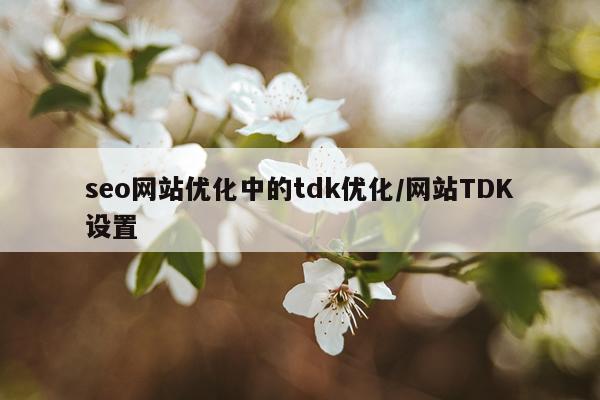 seo网站优化中的tdk优化/网站TDK设置