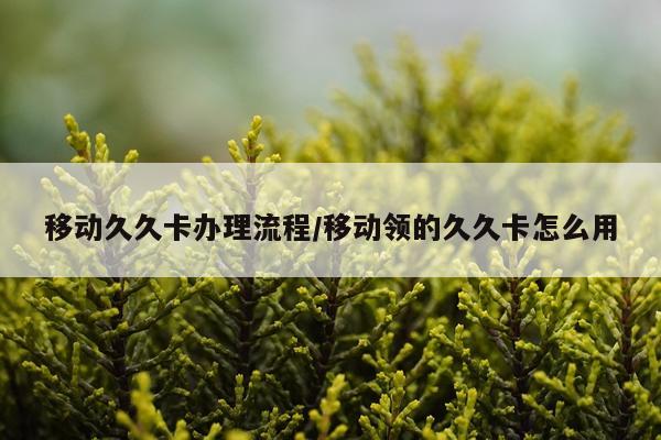 移动久久卡办理流程/移动领的久久卡怎么用