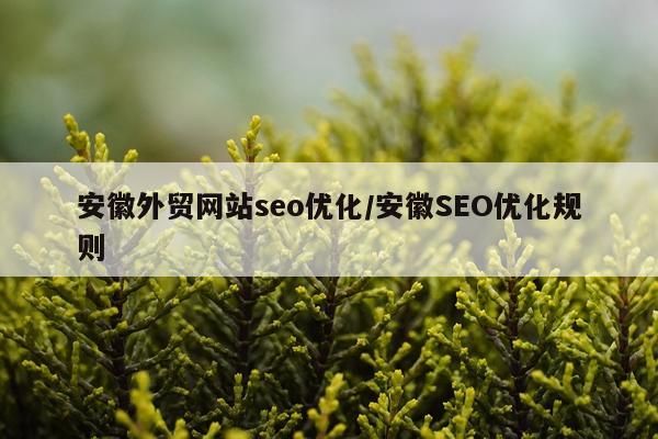 安徽外贸网站seo优化/安徽SEO优化规则