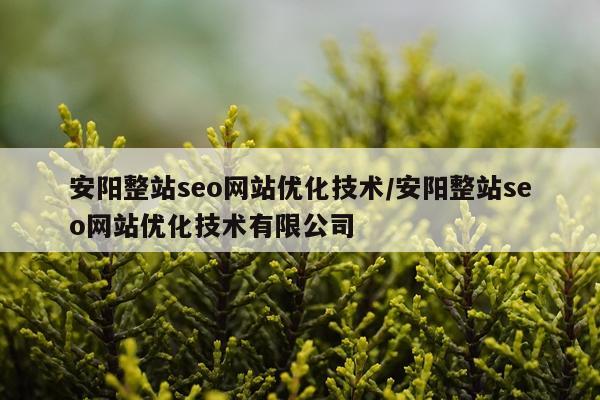 安阳整站seo网站优化技术/安阳整站seo网站优化技术有限公司