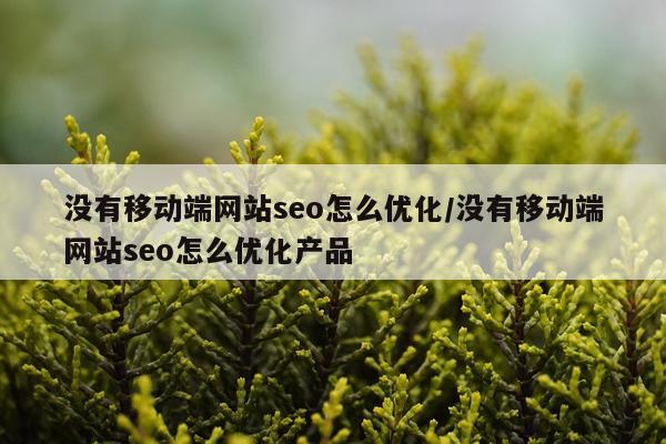没有移动端网站seo怎么优化/没有移动端网站seo怎么优化产品