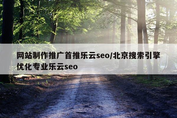 网站制作推广首推乐云seo/北京搜索引擎优化专业乐云seo