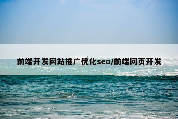 前端开发网站推广优化seo/前端网页开发