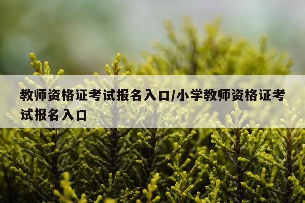 教师资格证考试报名入口/小学教师资格证考试报名入口