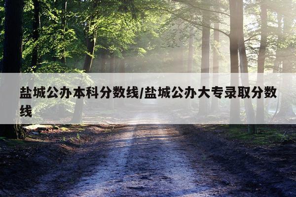 盐城公办本科分数线/盐城公办大专录取分数线