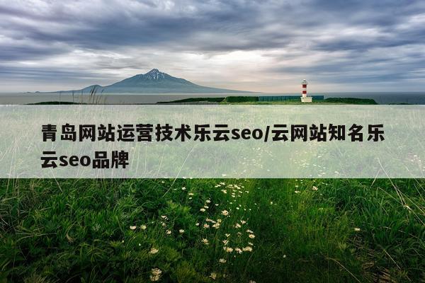 青岛网站运营技术乐云seo/云网站知名乐云seo品牌