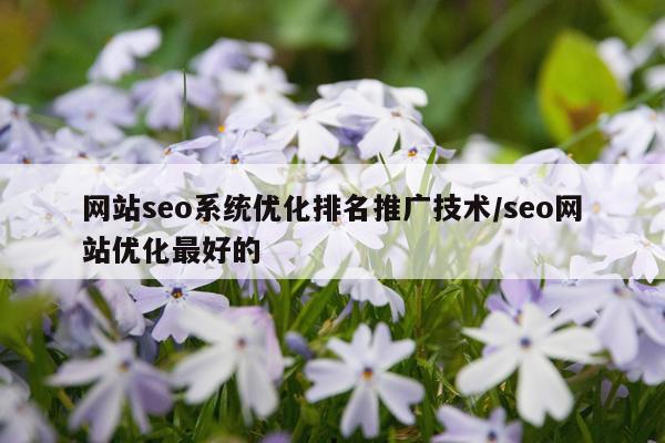网站seo系统优化排名推广技术/seo网站优化最好的