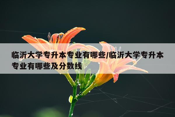 临沂大学专升本专业有哪些/临沂大学专升本专业有哪些及分数线