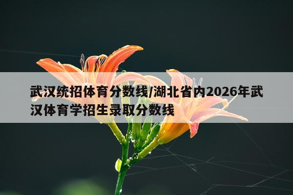 武汉统招体育分数线/湖北省内2026年武汉体育学招生录取分数线
