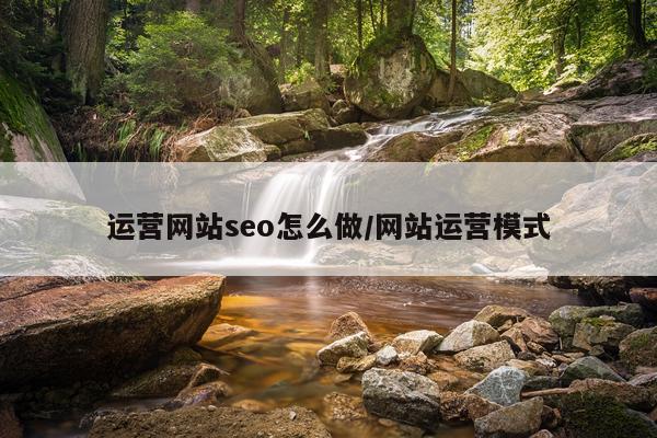 运营网站seo怎么做/网站运营模式