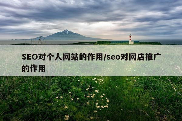SEO对个人网站的作用/seo对网店推广的作用