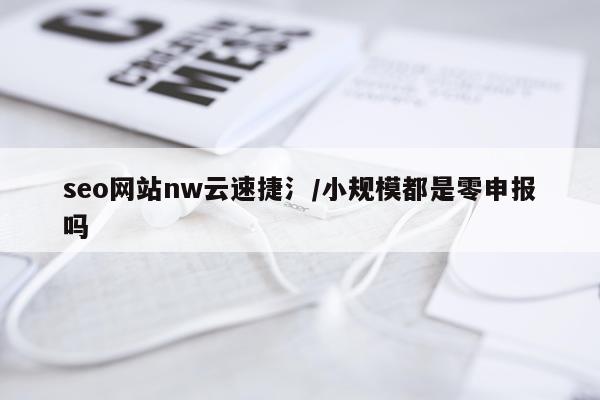 seo网站nw云速捷氵/小规模都是零申报吗