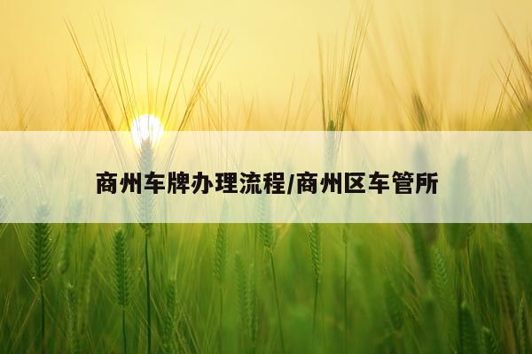 商州车牌办理流程/商州区车管所