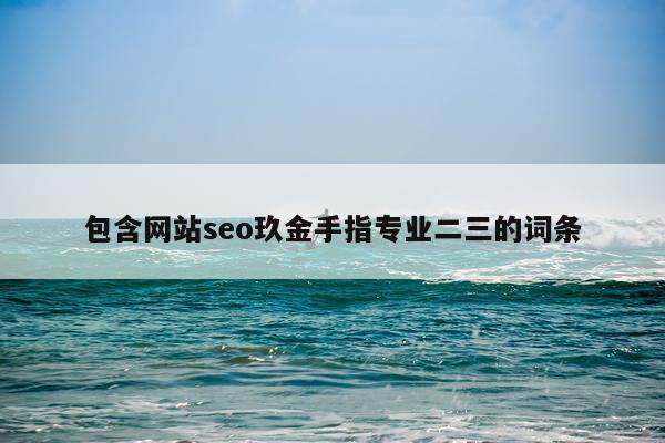 包含网站seo玖金手指专业二三的词条