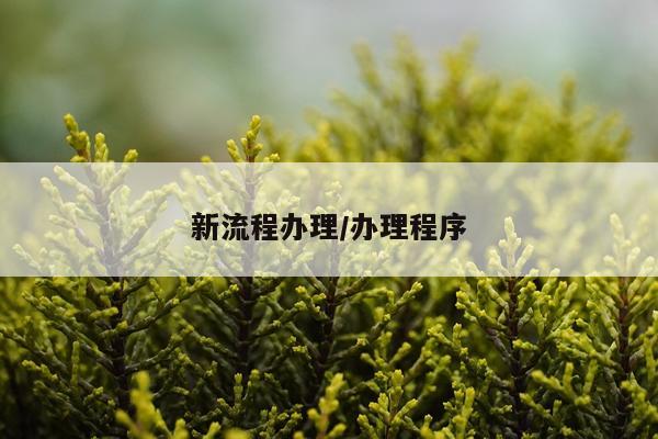 新流程办理/办理程序
