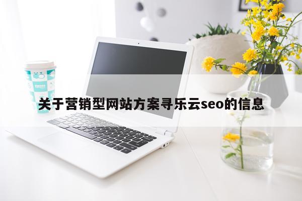 关于营销型网站方案寻乐云seo的信息