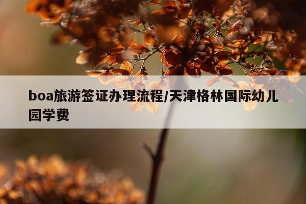 boa旅游签证办理流程/天津格林国际幼儿园学费