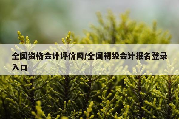全国资格会计评价网/全国初级会计报名登录入口