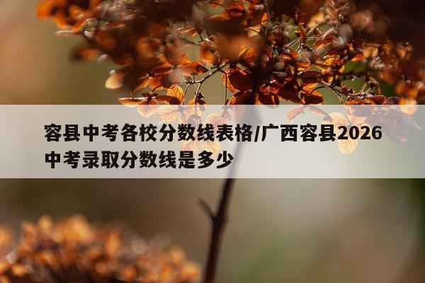 容县中考各校分数线表格/广西容县2026中考录取分数线是多少