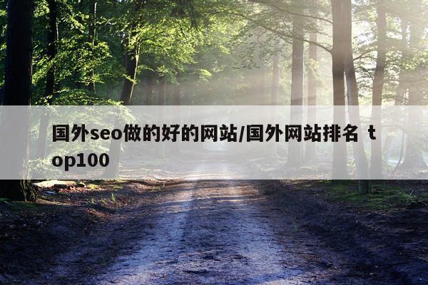 国外seo做的好的网站/国外网站排名 top100
