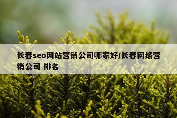 长春seo网站营销公司哪家好/长春网络营销公司 排名