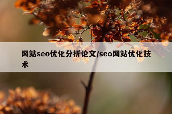 网站seo优化分析论文/seo网站优化技术