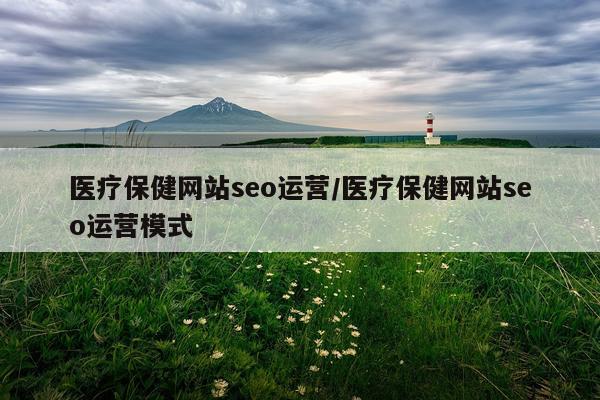 医疗保健网站seo运营/医疗保健网站seo运营模式