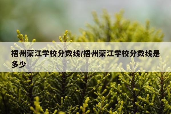 梧州荣江学校分数线/梧州荣江学校分数线是多少