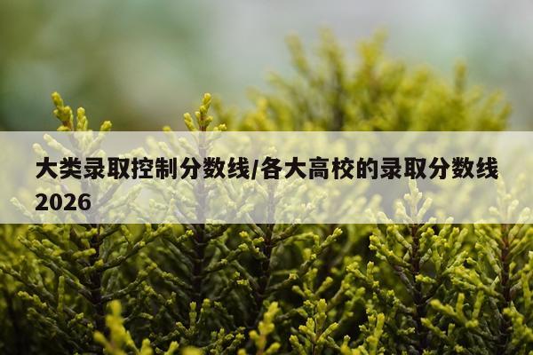 大类录取控制分数线/各大高校的录取分数线2026