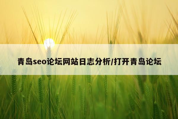 青岛seo论坛网站日志分析/打开青岛论坛