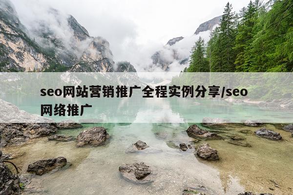 seo网站营销推广全程实例分享/seo 网络推广