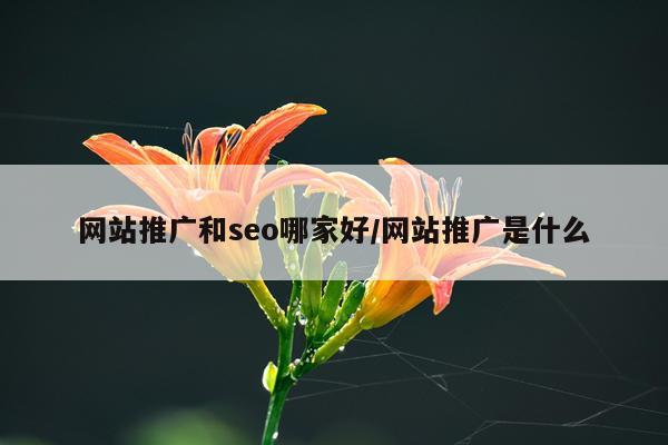 网站推广和seo哪家好/网站推广是什么