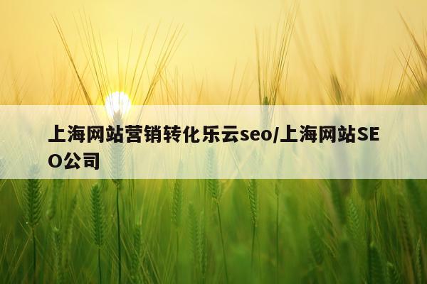 上海网站营销转化乐云seo/上海网站SEO公司