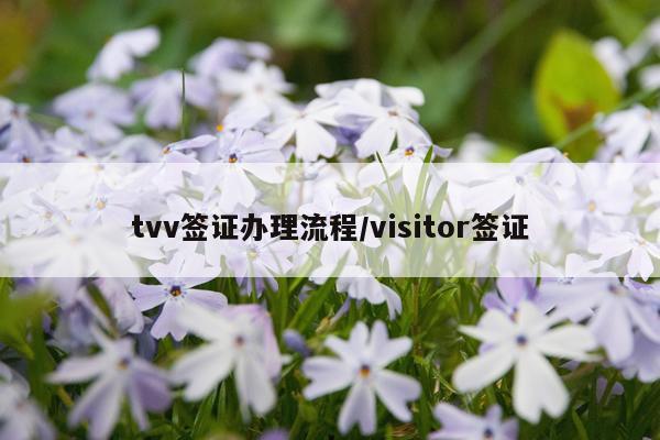 tvv签证办理流程/visitor签证