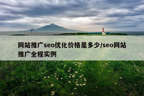 网站推广seo优化价格是多少/seo网站推广全程实例