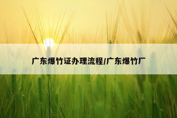 广东爆竹证办理流程/广东爆竹厂