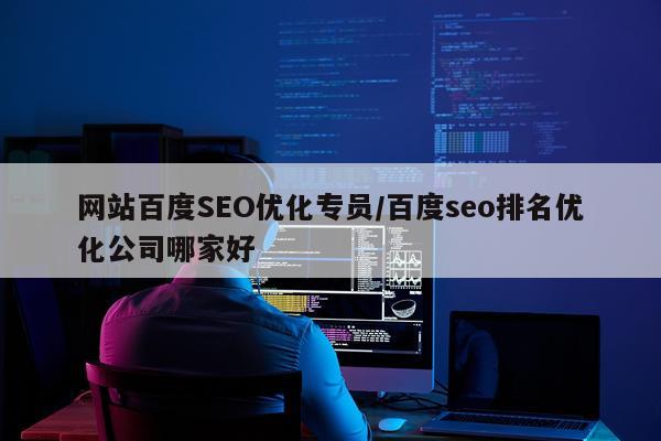 网站百度SEO优化专员/百度seo排名优化公司哪家好